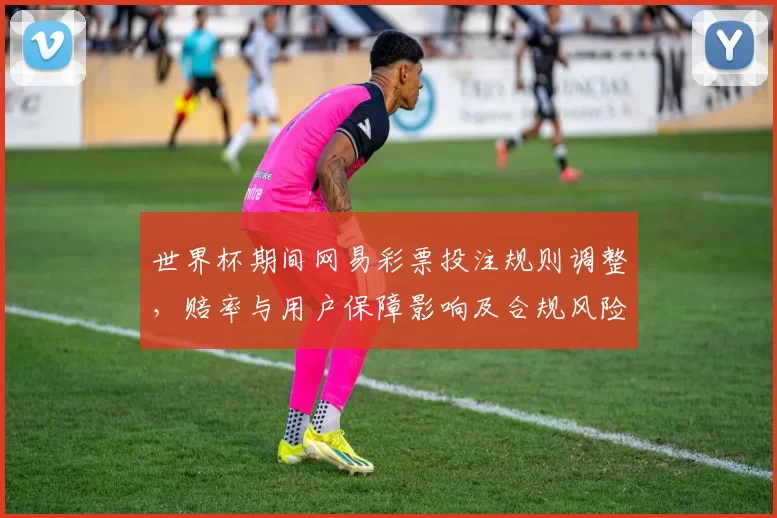 世界杯期间网易彩票投注规则调整，赔率与用户保障影响及合规风险