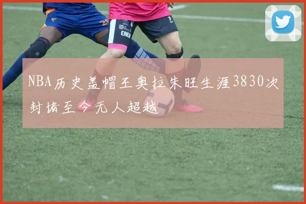 NBA历史盖帽王奥拉朱旺生涯3830次封堵至今无人超越