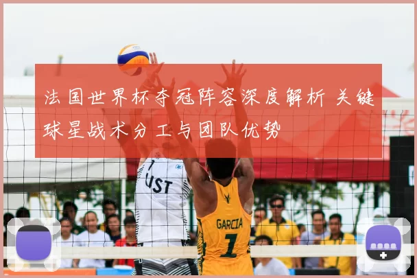 法国世界杯夺冠阵容深度解析 关键球星战术分工与团队优势