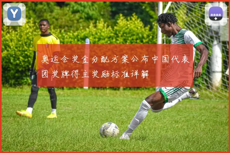 奥运会奖金分配方案公布中国代表团奖牌得主奖励标准详解