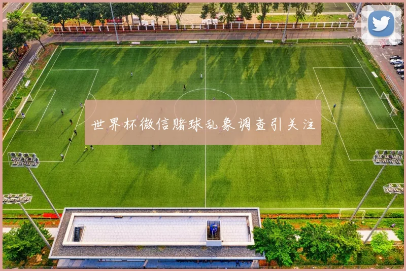 世界杯微信赌球乱象调查引关注